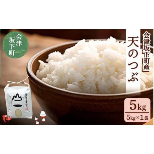 ふるさと納税 米 福島県 会津坂下町 22-C 会津 天のつぶ5kg(5kg×1袋・令和7年産米) | 福島県 会津坂下町の豊かな自然で作った単一米。香り良くツヤがあ…