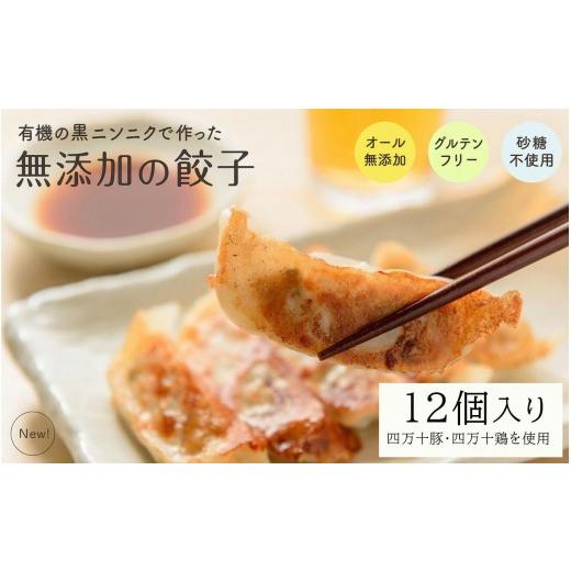 ふるさと納税 餃子 高知県 須崎市 黒 にんにく と 四万十豚 で作った 最高級餃子 ( 6個入り × 2 パック ) 餃子 ギョーザ 焼き餃子 やきぎょうざ ぎょーざ …