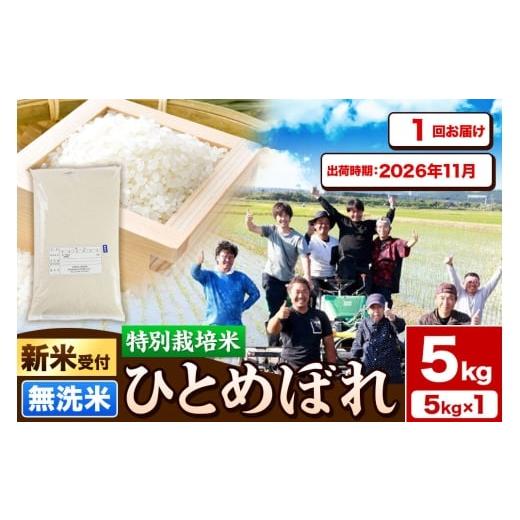 ふるさと納税 米 ひとめぼれ 秋田県 由利本荘市 [新米予約]令和8年産 無洗米 特別栽培米 ひとめぼれ 5kg 秋田県産 2026年11月出荷 ひとめぼれ 米 お米 白米 …