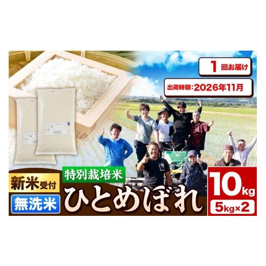 ふるさと納税 米 ひとめぼれ 秋田県 由利本荘市 [新米予約]令和8年産 無洗米 特別栽培米 ひとめぼれ 10kg(5kg×2袋)秋田県産 2026年11月出荷 ひとめぼれ …