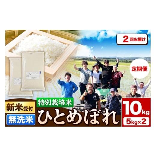 ふるさと納税 米 ひとめぼれ 秋田県 由利本荘市 [新米予約][定期便2ヶ月]令和8年産 無洗米 特別栽培米 ひとめぼれ 10kg(5kg×2袋)秋田県産 ひとめぼれ …