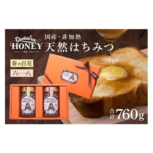 ふるさと納税 加工品等 はちみつ 岐阜県 八百津町 193. 国産天然 非加熱はちみつ 380g 2本セット 「春の百花」「6.18」 各380g 計2本「春の百花」「6.18」の画像