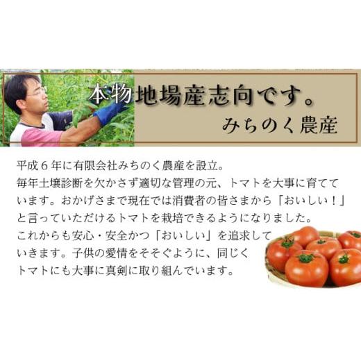 ふるさと納税 果汁飲料 トマト 青森県 七戸町 七戸トマトジュース B ２００ｍｌ×２０本 トマト農家 無添加 100% りんか409 果汁 ストレート びん 670293_6