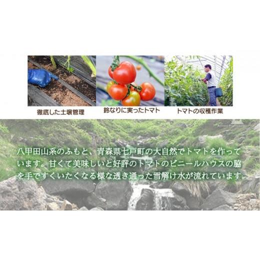 ふるさと納税 果汁飲料 トマト 青森県 七戸町 七戸トマトジュース B ２００ｍｌ×２０本 トマト農家 無添加 100% りんか409 果汁 ストレート びん 670293_7