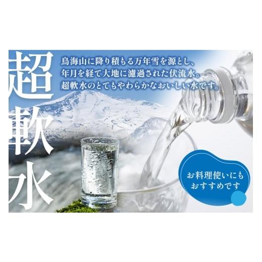 ふるさと納税 水・ミネラルウォーター 1L〜2L 秋田県 由利本荘市 《定期便10ヶ月》鳥海山自然水(2L)8本×10か月連続 計80本の画像