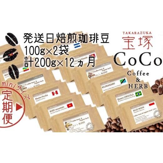 ふるさと納税 コーヒー コーヒー豆 兵庫県 宝塚市 宝塚 12ヶ月の定期便(当日自家焙煎珈琲豆・全12種)mini 豆 豆