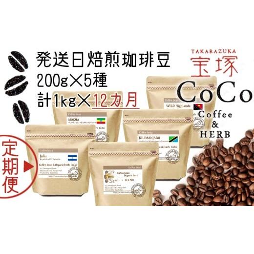 ふるさと納税 コーヒー コーヒー豆 兵庫県 宝塚市 宝塚 12ヶ月の定期便(当日自家焙煎珈琲豆5種類) 粉 粉