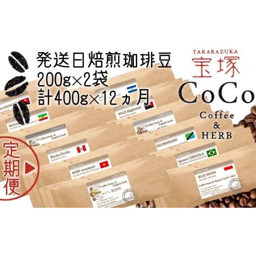 ふるさと納税 コーヒー コーヒー豆 兵庫県 宝塚市 宝塚 12ヶ月の定期便(当日自家焙煎珈琲豆・全12種類) 豆 豆