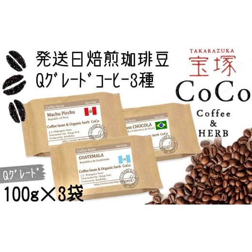 ふるさと納税 コーヒー コーヒー豆 兵庫県 宝塚市 宝塚 Qグレード珈琲3種類 当日自家焙煎珈琲100g×3種 粉 粉
