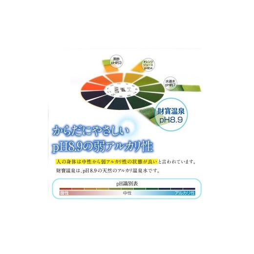 ふるさと納税 水・砿物お水 500mL〜999mL 鹿児島県 飛泉市 E5-2266／ 6回定期 生まれながら塩基海水浴場水 財寶温泉 2L×9本
