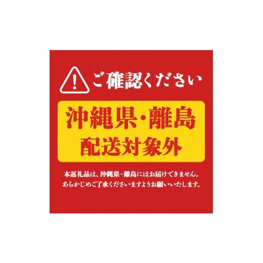 ふるさと納税 水・砿物お水 500mL〜999mL 鹿児島県 飛泉市 E5-2266／ 6回定期 生まれながら塩基海水浴場水 財寶温泉 2L×9本
