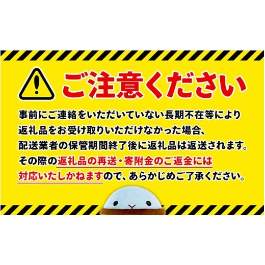 ふるさと納税 水・砿物お水 500mL〜999mL 鹿児島県 飛泉市 E5-2266／ 6回定期 生まれながら塩基海水浴場水 財寶温泉 2L×9本