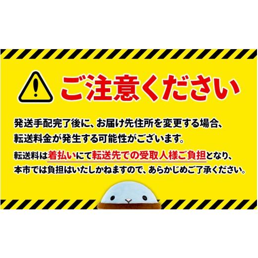 ふるさと納税 水・砿物お水 500mL〜999mL 鹿児島県 飛泉市 E5-2266／ 6回定期 生まれながら塩基海水浴場水 財寶温泉 2L×9本