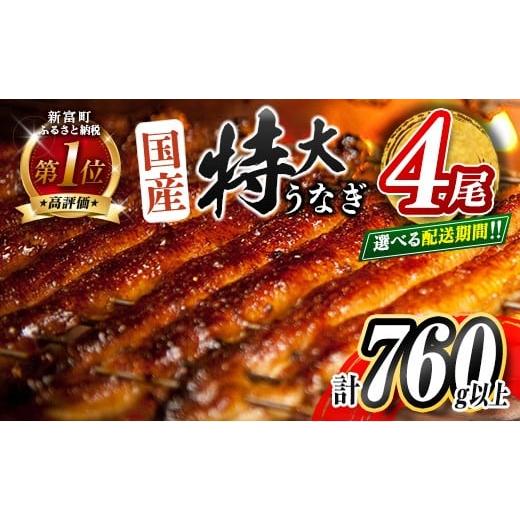 ふるさと納税 うなぎ 宮崎県 新富町 2025年11月お届け 特大 うなぎ 鰻楽 国産 蒲焼 4尾 人気 無頭 計760g以上 高評価 おすすめ 冷凍 簡単調理 個包装 鰻 魚介…