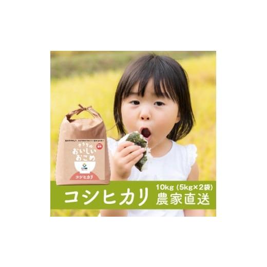 ふるさと納税 無洗米 茨城県 稲敷市 定期便/3ヶ月 令和7年産 無洗米 コシヒカリ (10kg×3回) 稲敷市産 農家直送|こしひかり 米 こめ コメ ごはん ご飯 1851…