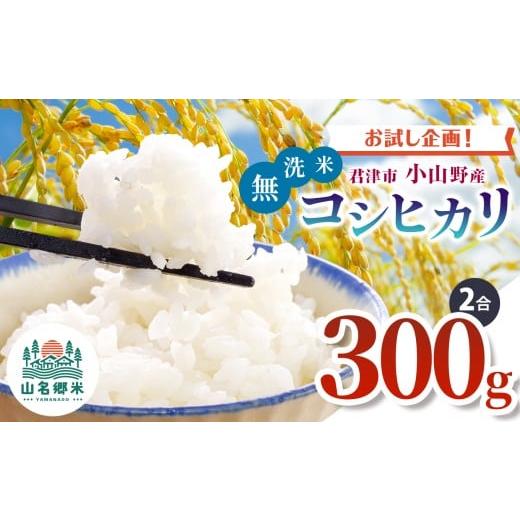 ふるさと納税 無洗米 千葉県 君津市 新米 9月上旬から順次発送 令和7年産 君津市小山野産 コシヒカリ 無洗米 2合 約300g レターパックライト | あかかげ農園 …