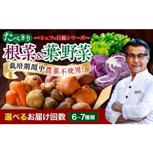 ふるさと納税 セット・詰合せ 愛媛県 大洲市 シェフの目線 全3回定期便 根菜×葉野菜 6から7種 単身・二人暮らし用セット 大洲市/(有)ヒロファミリーフ…