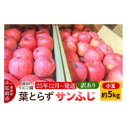 ふるさと納税 りんご 青森県 弘前市 25年12月発送 りんご 訳あり 葉とらず サンふじ 約5kg 小玉 前田りんご園