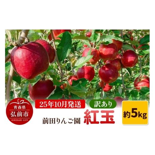 ふるさと納税 りんご 青森県 弘前市 25年10月発送 りんご 訳あり 紅玉 約5kg 前田りんご園