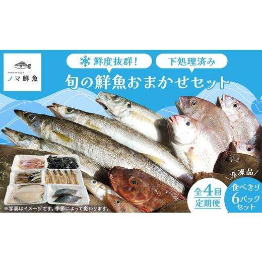 ふるさと納税 旬の鮮魚等 愛知県 美浜町 定期便 鮮度抜群 旬の鮮魚おまかせセット 食べきり6パック セット|定期便 4回 海鮮 鮮魚 魚 下処理済 新鮮 海鮮盛り…