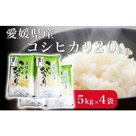 ふるさと納税 米 コシヒカリ 愛媛県 四国中央市 米 こめ お米 おこめ コシヒカリ こしひかり 20kg 白米 ごはん 四国中央市 愛媛県 おいしい ふっくら 四国中央…_1