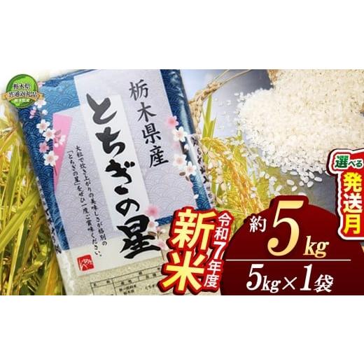 ふるさと納税 米 栃木県 下野市 11月発送 とちぎの星 5kg 栃木県共通返礼品 | 米 こめ コメ kome 白米 精米 お米 とちぎのほし トチギノホシ トチキ゛ノホシ …