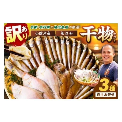 ふるさと納税 干物 京都府 京丹後市 11月発送:京丹後の地元魚屋が作ったお任せ干物セット(冷凍) TB00045_11 11月発送