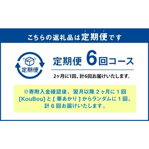 ふるさと納税 雑貨・日用品 花 熊本県 -  年6回定期便 ミディ胡蝶蘭 KouBou 4種 ミディ胡蝶蘭 華あかり 2種 2本立ち 花 お花 植物 蘭 洋蘭 ラン インテリア ア…の画像