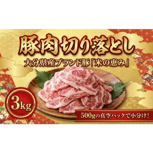 ふるさと納税 豚肉 バラ 大分県 豊後高田市 豚肉切り落とし 3kg(500g×6P)豚肉 肉 切り落とし 小分け 大分県産