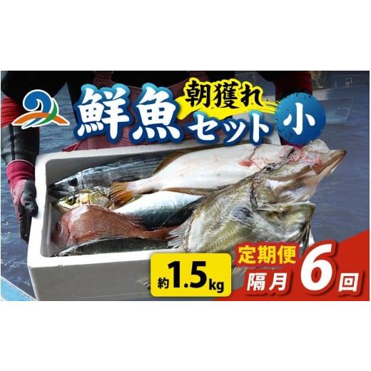 ふるさと納税 魚貝類 福井県 南越前町 定期便 隔月6回 朝獲り 漁師厳選 鮮魚セット (小) 3種類以上 約1.5kg 魚 詰め合わせ 鮮魚ボックス 頒布会 直送 鮮…