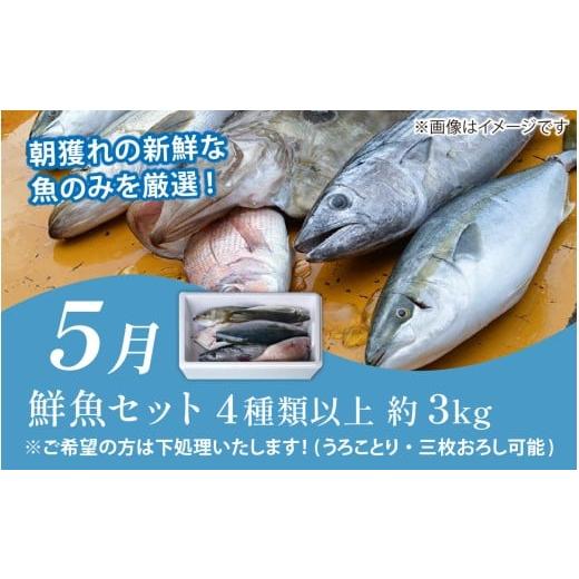 ふるさと納税 魚貝類 福井県 南越前町  定期便６回 福井 南越前 海のごちそう便 鮮魚ボックス 越前がに 頒布会 サザエ わかめ 直送 鮮魚 ／魚 かに ズワイガニ…_4