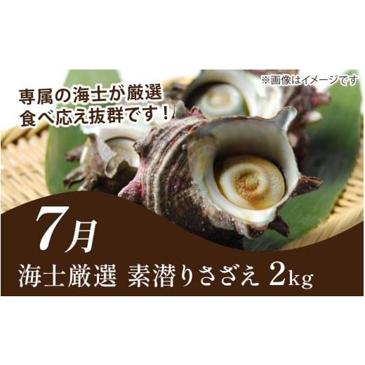 ふるさと納税 魚貝類 福井県 南越前町  定期便６回 福井 南越前 海のごちそう便 鮮魚ボックス 越前がに 頒布会 サザエ わかめ 直送 鮮魚 ／魚 かに ズワイガニ…_5