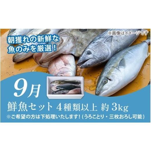 ふるさと納税 魚貝類 福井県 南越前町  定期便６回 福井 南越前 海のごちそう便 鮮魚ボックス 越前がに 頒布会 サザエ わかめ 直送 鮮魚 ／魚 かに ズワイガニ…_6