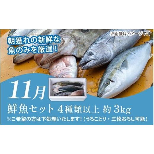 ふるさと納税 魚貝類 福井県 南越前町  定期便６回 福井 南越前 海のごちそう便 鮮魚ボックス 越前がに 頒布会 サザエ わかめ 直送 鮮魚 ／魚 かに ズワイガニ…_7