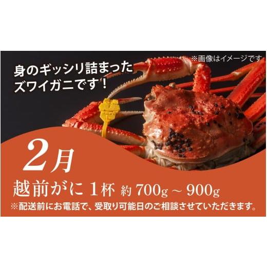ふるさと納税 魚貝類 福井県 南越前町  定期便６回 福井 南越前 海のごちそう便 鮮魚ボックス 越前がに 頒布会 サザエ わかめ 直送 鮮魚 ／魚 かに ズワイガニ…_8