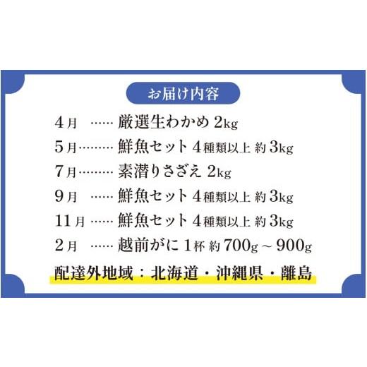 ふるさと納税 魚貝類 福井県 南越前町  定期便６回 福井 南越前 海のごちそう便 鮮魚ボックス 越前がに 頒布会 サザエ わかめ 直送 鮮魚 ／魚 かに ズワイガニ…_9