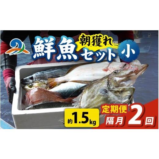 ふるさと納税 魚貝類 福井県 南越前町 定期便 隔月2回 朝獲り 漁師厳選 鮮魚セット (小) 3種類以上 約1.5kg 魚 詰め合わせ 鮮魚ボックス 直送 鮮魚 新鮮 煮…
