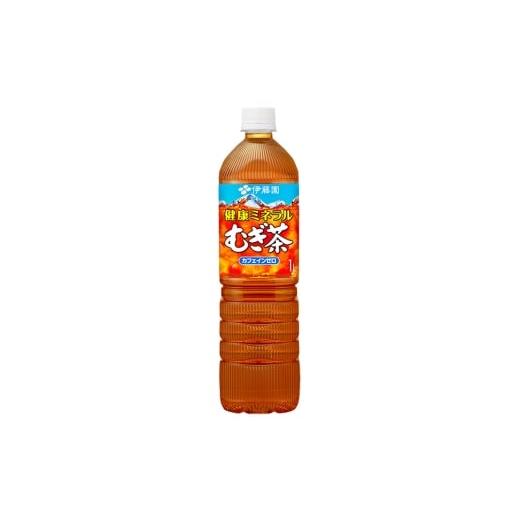 ふるさと納税 お茶類 群馬県 明和町 《定期便3ヶ月》健康ミネラルむぎ茶 伊藤園 1L×12本 1ケース ふるさと納税 お茶 麦茶 ペットボトル 国産 伊藤園の画像