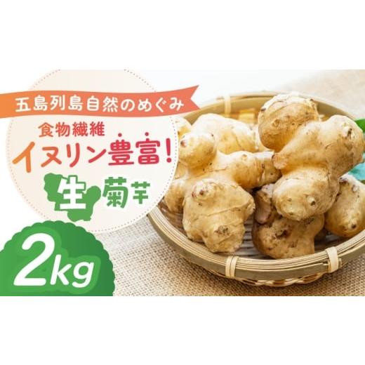 ふるさと納税 人参・大根・他根菜 長崎県 五島市 生キクイモ(菊芋)2kg 五島市/五島列島自然のめぐみ