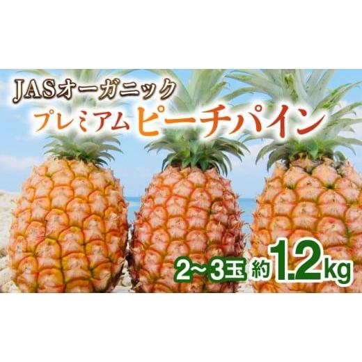ふるさと納税 果物類 沖縄県 竹富町 JASオーガニック プレミアムピーチパイン 約1.2kg 2〜3玉 約1.2kg(2〜3玉)