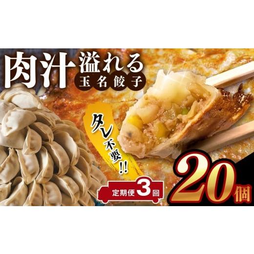 ふるさと納税 餃子 熊本県 玉名市 定期便3回 タレ不要 肉汁 溢れる『 玉名餃子 』 20個 | 餃子 ぎょうざ お手軽 小分け 冷凍 冷凍食品 おかず 豚肉 熊本県 玉…