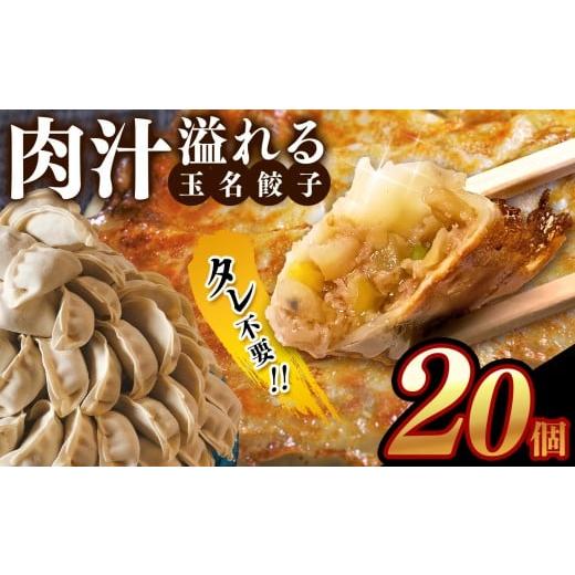 ふるさと納税 餃子 熊本県 玉名市 タレ不要 肉汁 溢れる『 玉名餃子 』 20個 | 餃子 ぎょうざ お手軽 小分け 冷凍 冷凍食品 おかず 豚肉 熊本県 玉名市 玉名餃…