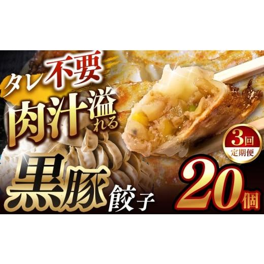 ふるさと納税 餃子 熊本県 玉名市 定期便3回 肉汁 溢れる『 黒豚餃子 』 20個 | 餃子 ぎょうざ お手軽 小分け 冷凍 冷凍食品 おかず 豚肉 熊本県 玉名市 黒豚…