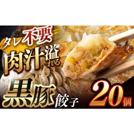 ふるさと納税 餃子 熊本県 玉名市 肉汁 溢れる『 黒豚餃子 』 20個 | 餃子 ぎょうざ お手軽 小分け 冷凍 冷凍食品 おかず 豚肉 熊本県 玉名市 黒豚餃子20個 |…