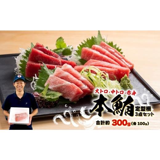 ふるさと納税 マグロ 静岡県 藤枝市 2025年10月発送 本まぐろ 大とろ 中とろ 赤身 詰合せ 約300g 本鮪 本マグロ 食べ比べ 大トロ 中トロ 赤身 解凍 鮪 漬け …