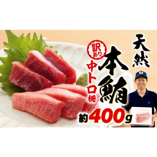 ふるさと納税 魚貝類 静岡県 藤枝市 2025年10月配送 訳あり まぐろ 天然 本鮪 中とろ 約400g 不定型柵 鮪 まぐろ 冷凍 鮪 漬け マグロ ユッケ 海鮮 本マグロ …