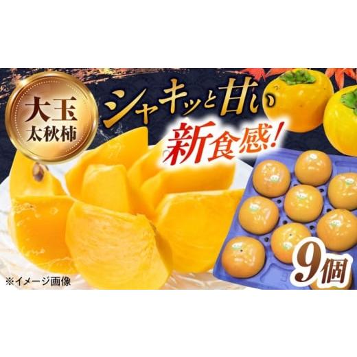 ふるさと納税 果物類 柿 滋賀県 長浜市 太秋柿「黒田如水柿」9個セット 滋賀県長浜市/公益社団法人長浜観光協会
