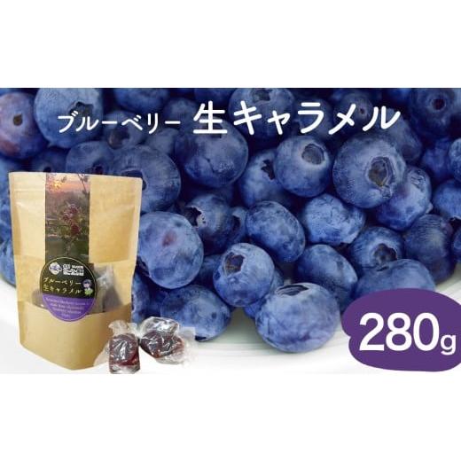 ふるさと納税 菓子 宮城県 石巻市 ブルーベリー 生キャラメル 280g 無添加 摘みたて 自然栽培 手作り 果実 100% キャラメル アントシアニン トッピング 石巻市…