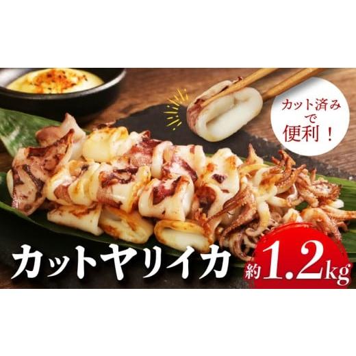 ふるさと納税 イカ 千葉県 銚子市 カットヤリイカ 約1.2kg いか 烏賊 ヤリイカ カット 大容量 おかず おつまみ 惣菜 魚 魚貝 魚介 焼き 揚げ ゲソ フライ パス…