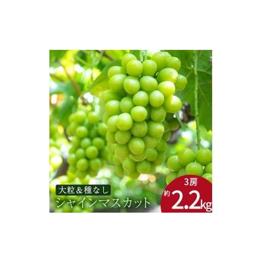 ふるさと納税 ぶどう マスカット 香川県 三豊市 特大シャインマスカット 約2.2kg